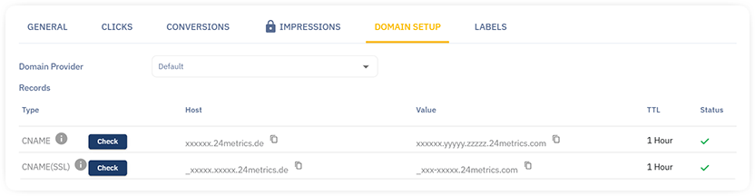 dns setup
