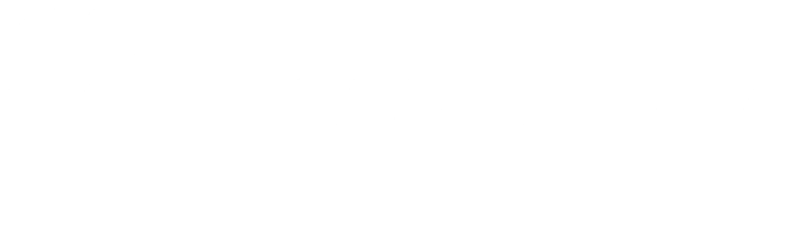 Swaarm logo white